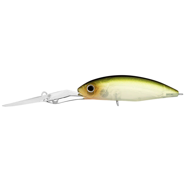 Daiwa Infeet Spike 53EXDR Ghost Ayu