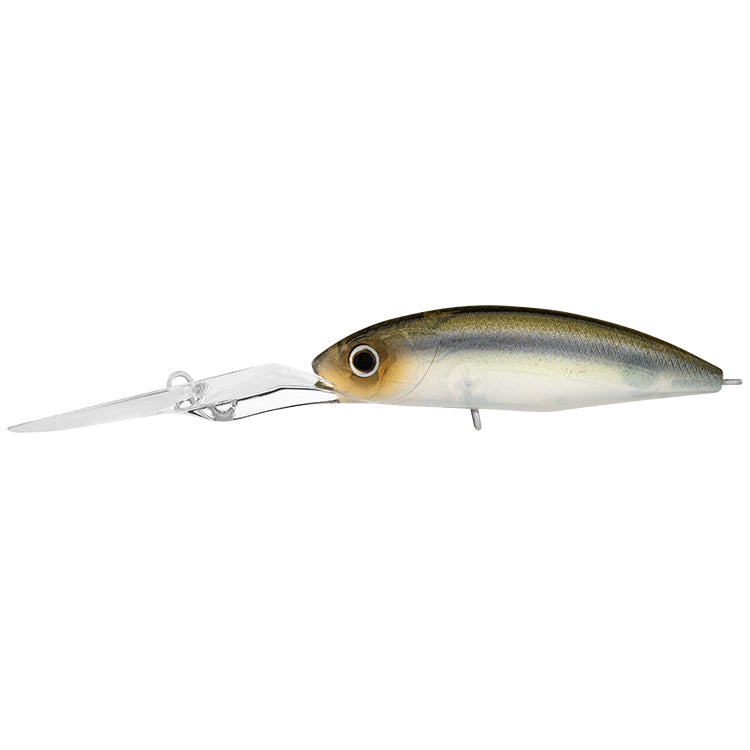 Daiwa Infeet Spike 53EXDR Natural Ghost Shad