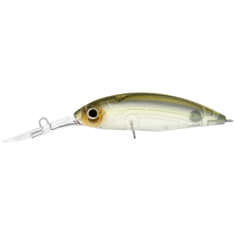 Daiwa Infeet Spike 53SP Natural Ghost Shad