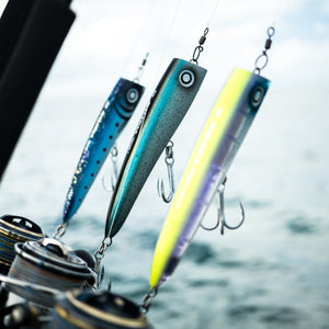 Daiwa Saltiga Frother 170F Cover