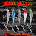 Doctor Hook School Bully XL 75g Cover