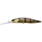 Duo Realis Jerkbait 100DR Barra Tuned CCC3564