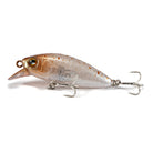 Jackall Abbey Minnow 38SF Koika
