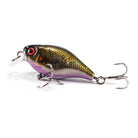 Jackall Shallow Chubby 38F HL Black