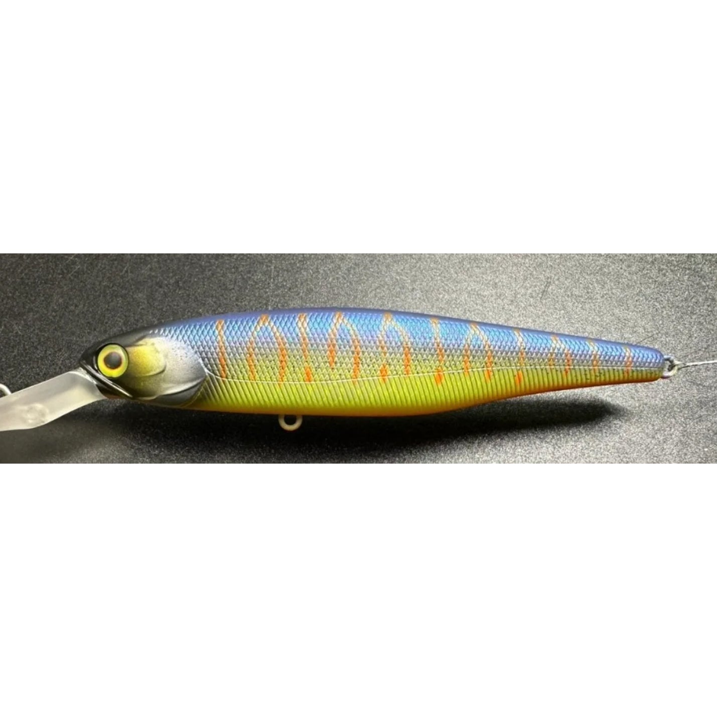 Jackall Squirrel SDD 79SP Hank Tune Silent Muddy Secret Tiger