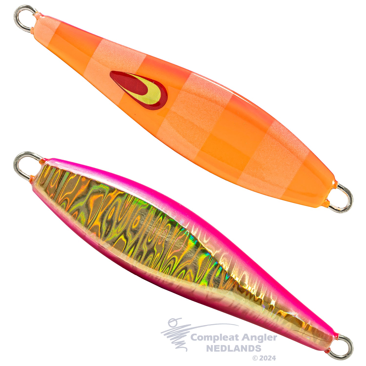 Orange Zebra