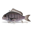 Little Jack Charikom 50 03 Black Sea Bream