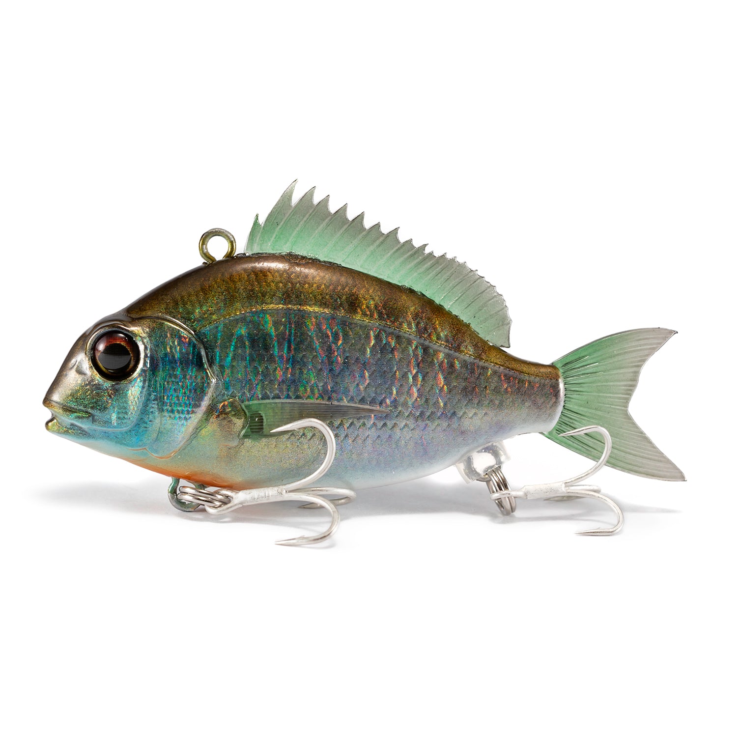 Little Jack Charikom 50 10 Bluegill