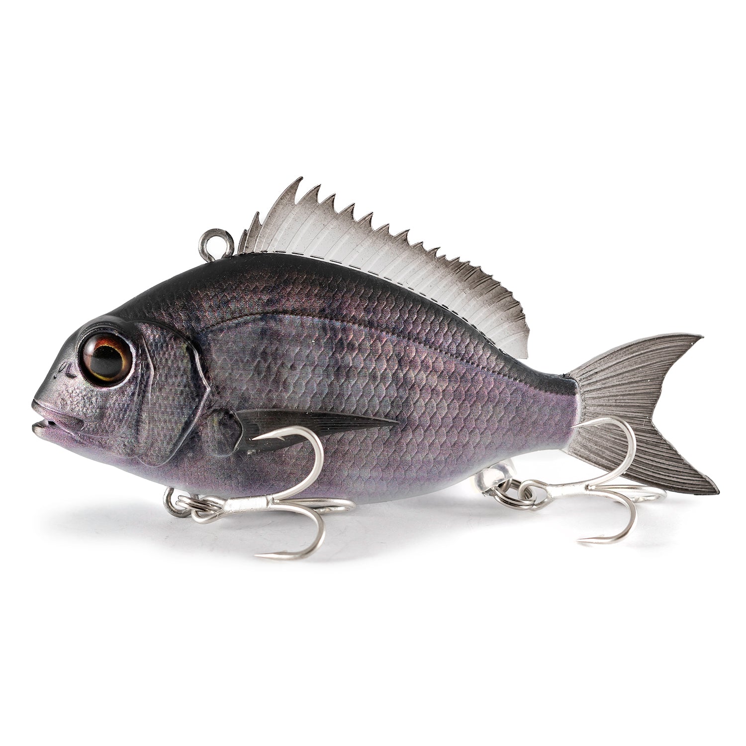 Little Jack Charikom 65 03 Black Sea Bream