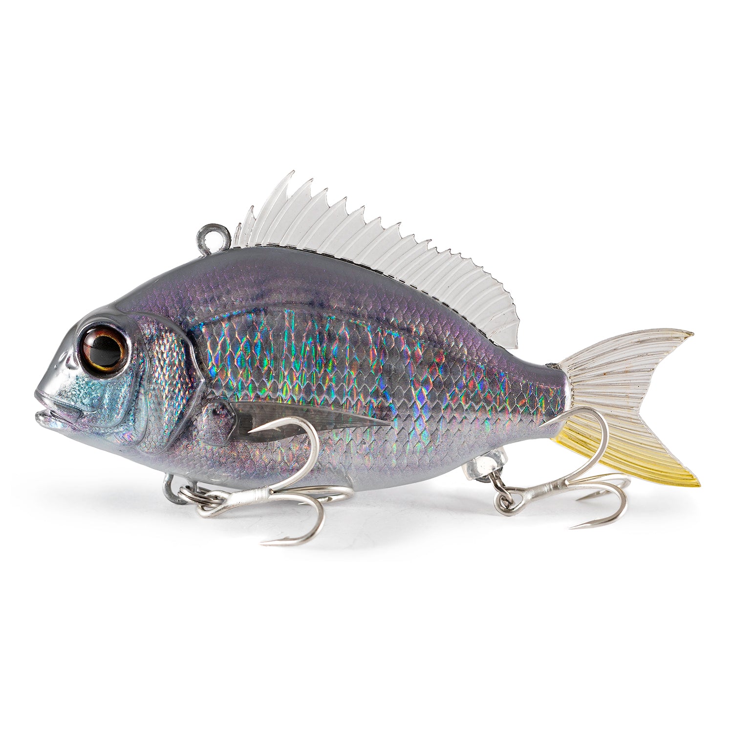 Little Jack Charikom 65 04 Yellow Tail Snapper