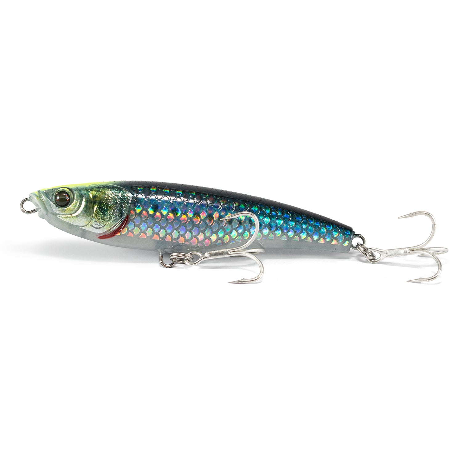 Little Jack Forma Heads 105 06