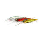 Lucky Craft Barra Pointer 100XD Cover