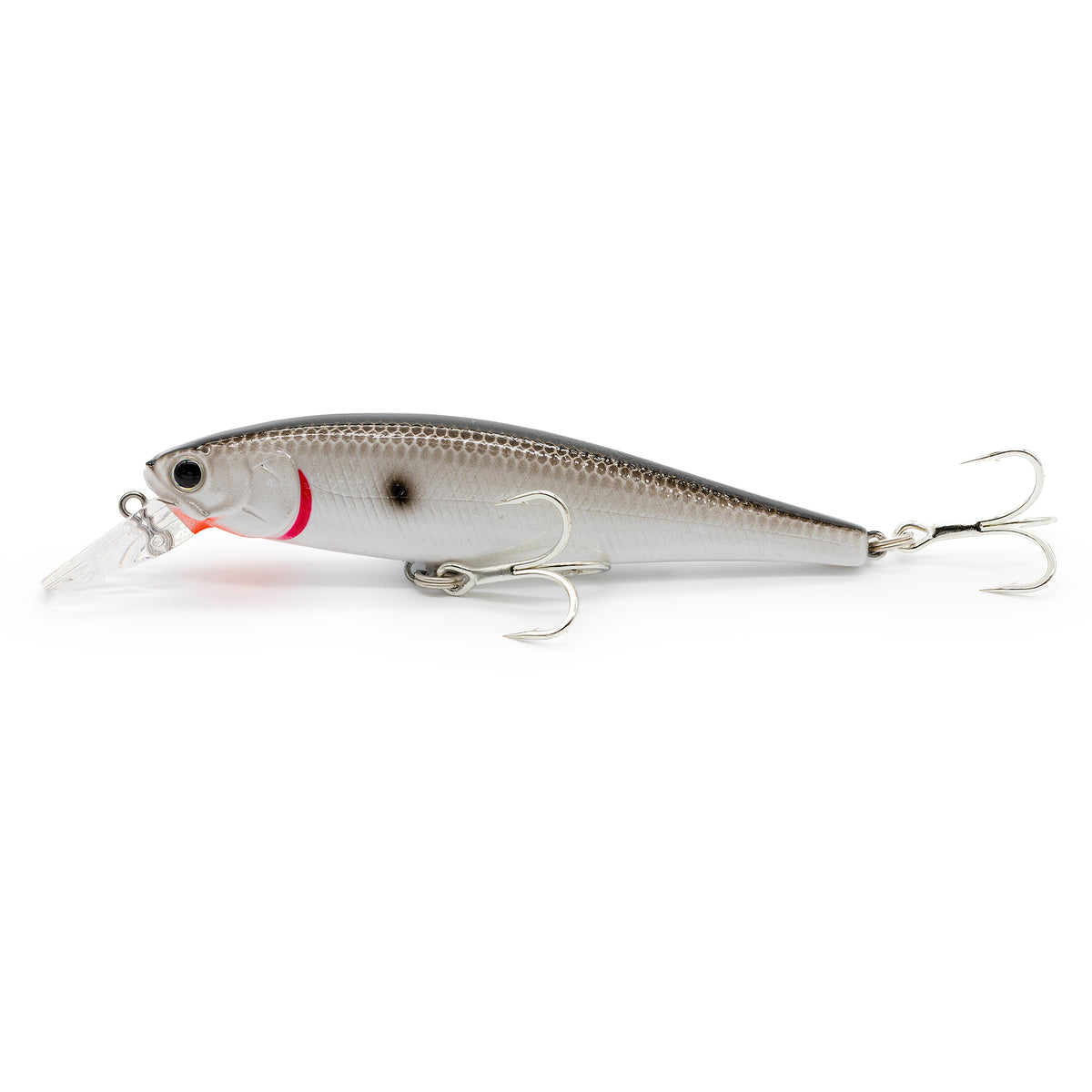 Lucky Craft Pointer 100SP Tennessee Shad