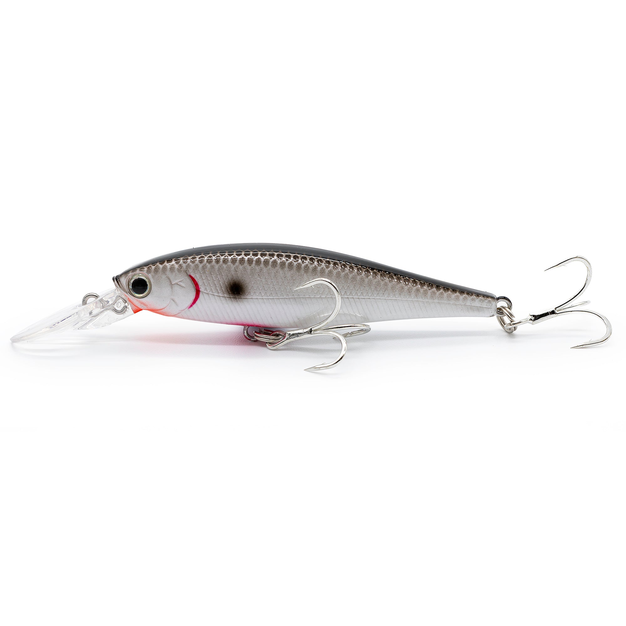 Lucky Craft Pointer 78DD BL-OR Tennessee Shad