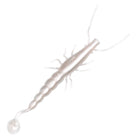 Madeye Paddle Prawn 5in Pearl
