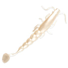 Madeye Paddle Prawn 7in Pearl