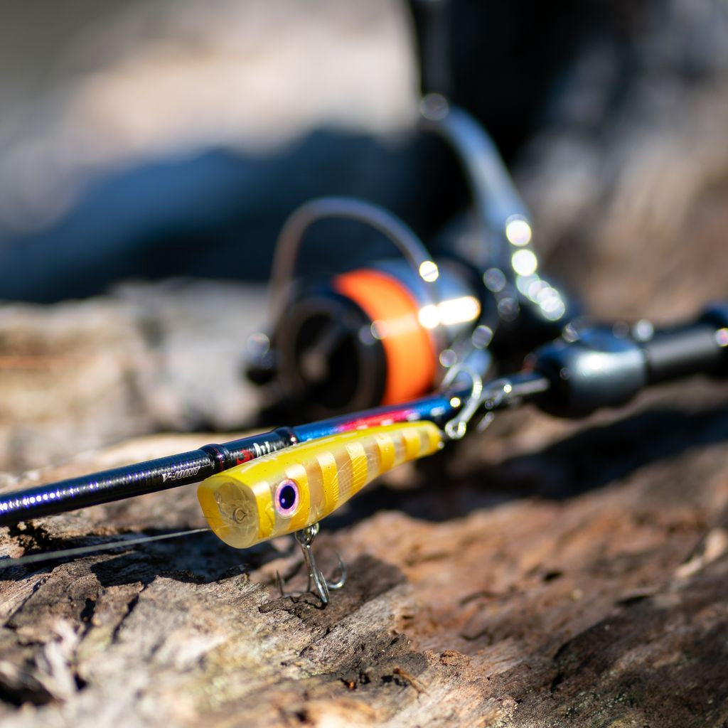 Malosi Studio Atom 60P