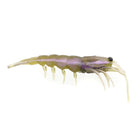 Pro Lure Clone Prawn 92mm Pearl Green