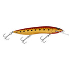 RMG Scorpion 150 DD H70