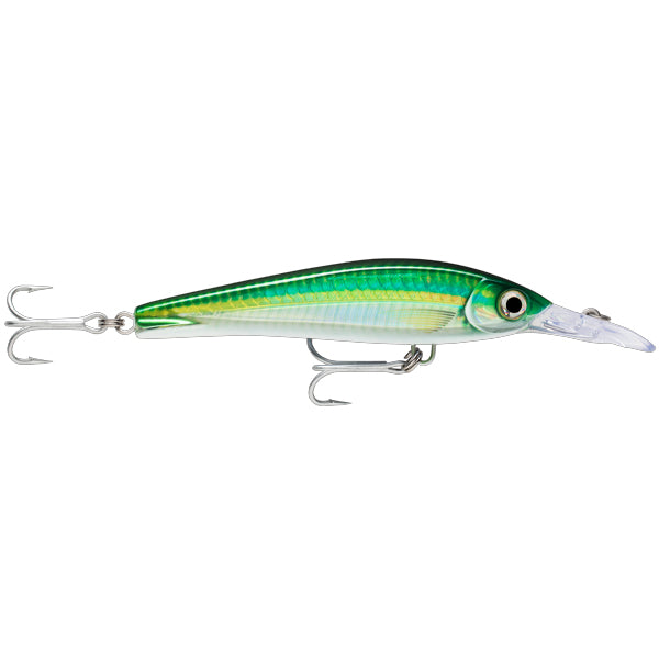 Rapala X-Rap Magnum Xtreme 160 HDBSCD