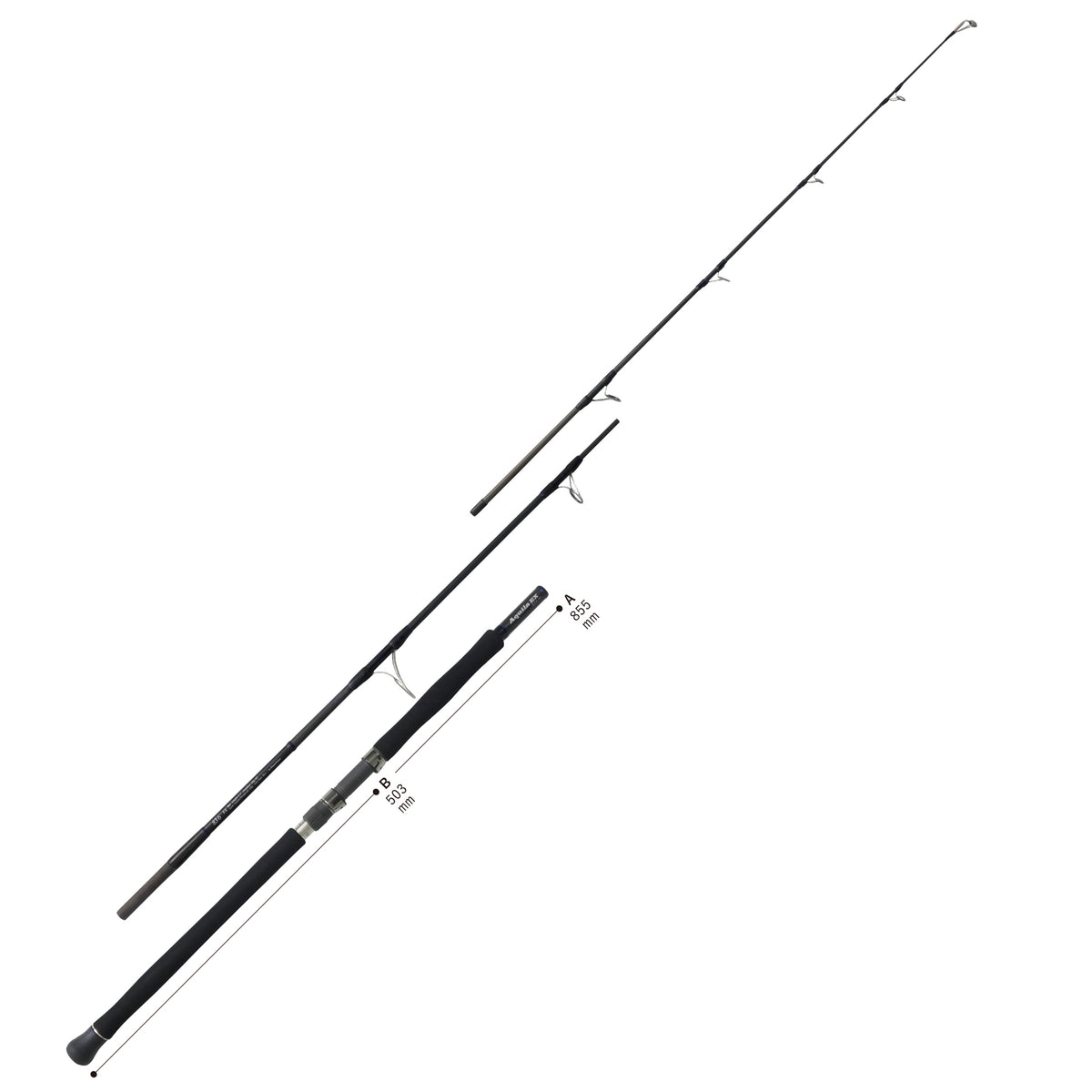 Ripple Fisher Aquila EX 83/6