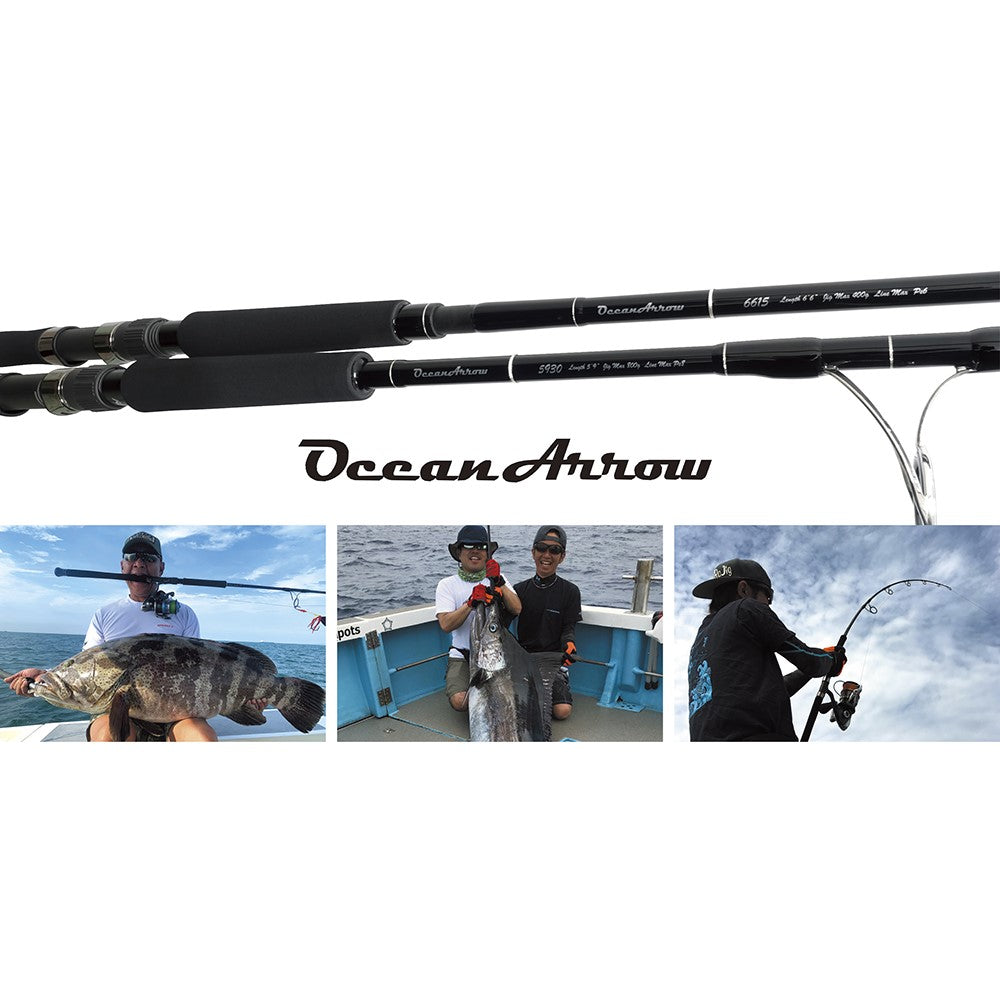Ripple Fisher Ocean Arrow Models