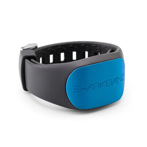 Sharkbanz 2 Slate / Azure