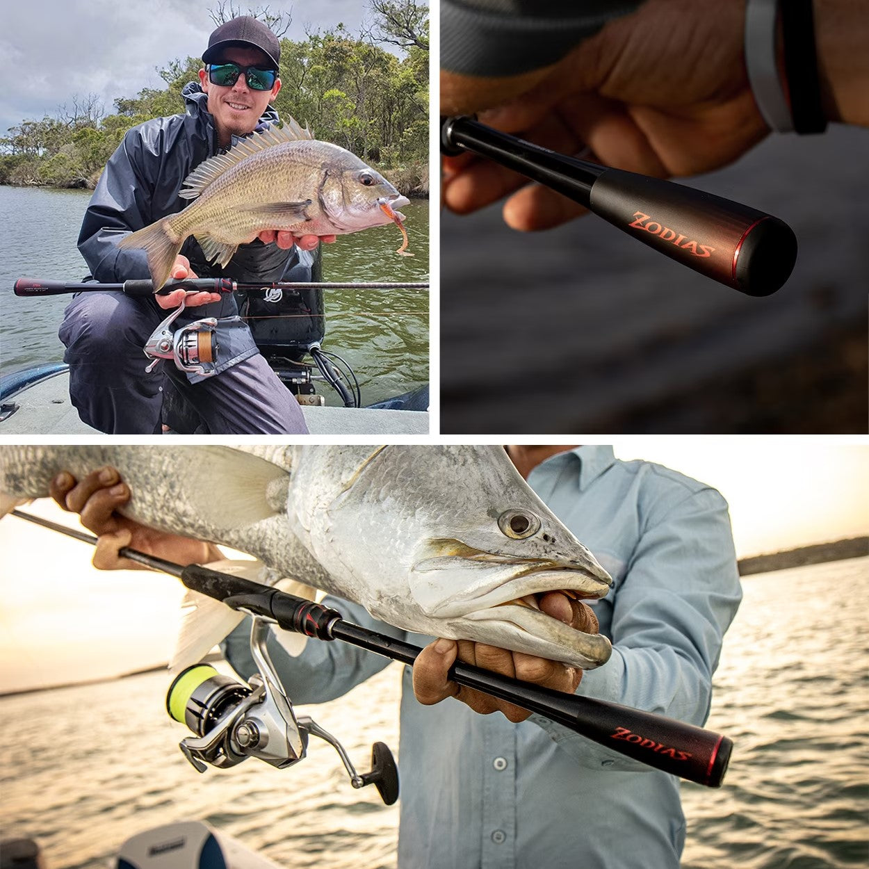 Shimano 20 Zodias – Compleat Angler Nedlands Pro Tackle