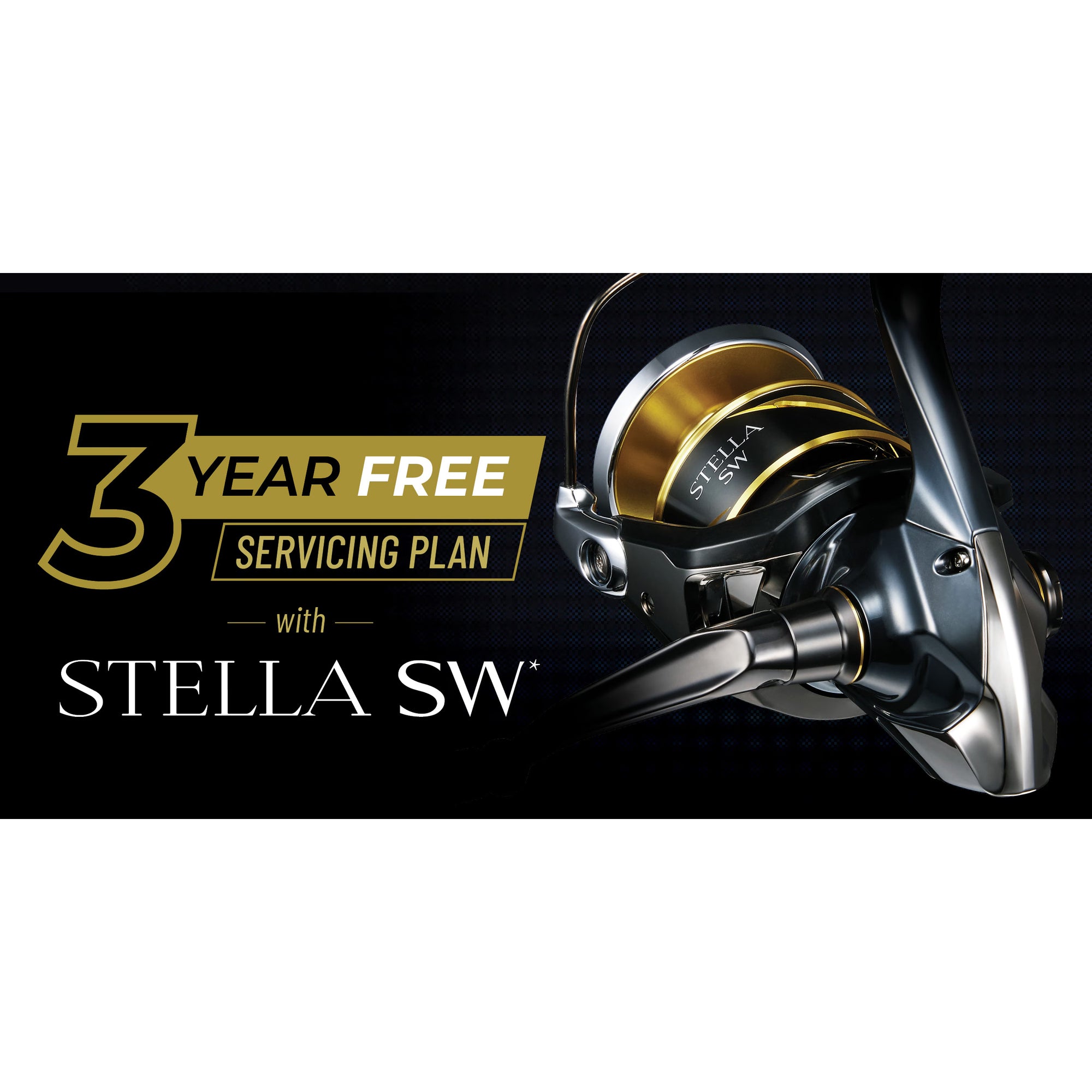 Shimano 25 Stella SWD Service Plan