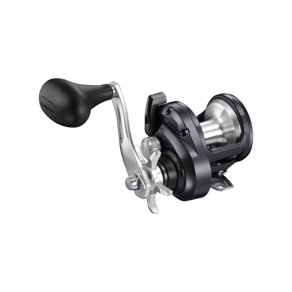 Shimano 25 Torium Jigger 1500