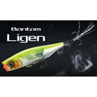 Shimano Bantam Ligen 66F Cover