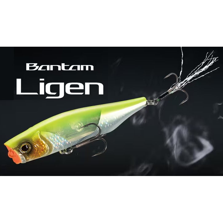 Shimano Bantam Ligen 66F Cover