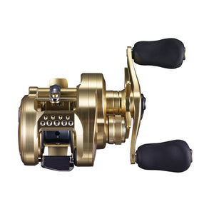 Shimano Calcutta Conquest A Top