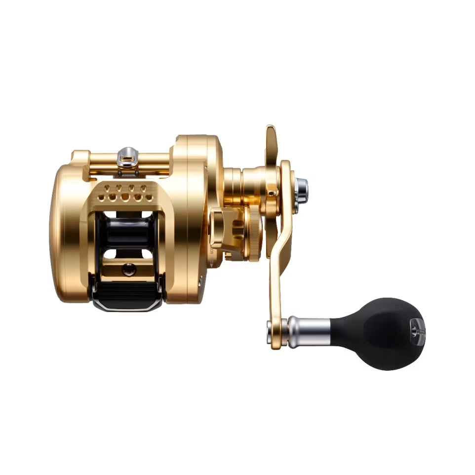 Shimano Ocea Conquest Top