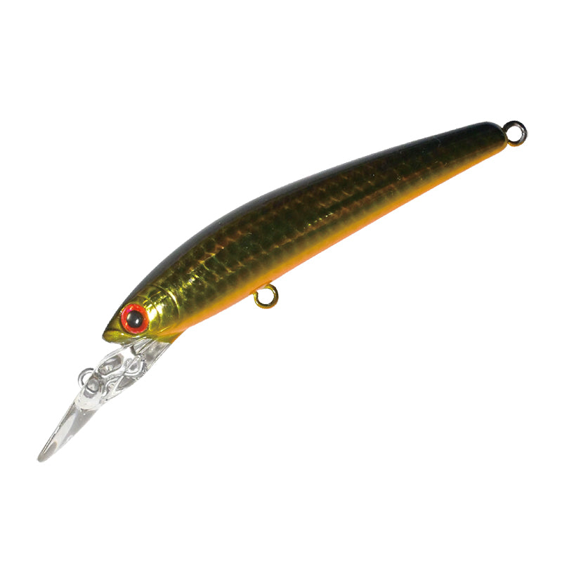 Smith Panish DD Area 55R 01