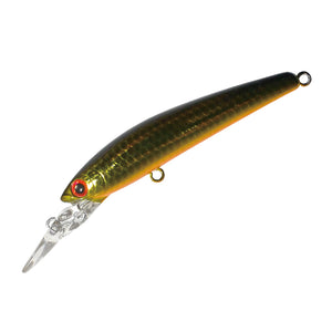 Smith Panish DD Area 55R 01