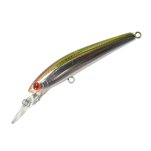 Smith Panish DD Area 55R 02