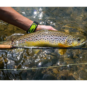 TFO Blue Ribbon Trout