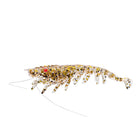 Yakamito Prawno Prawn 70mm Clear Gold