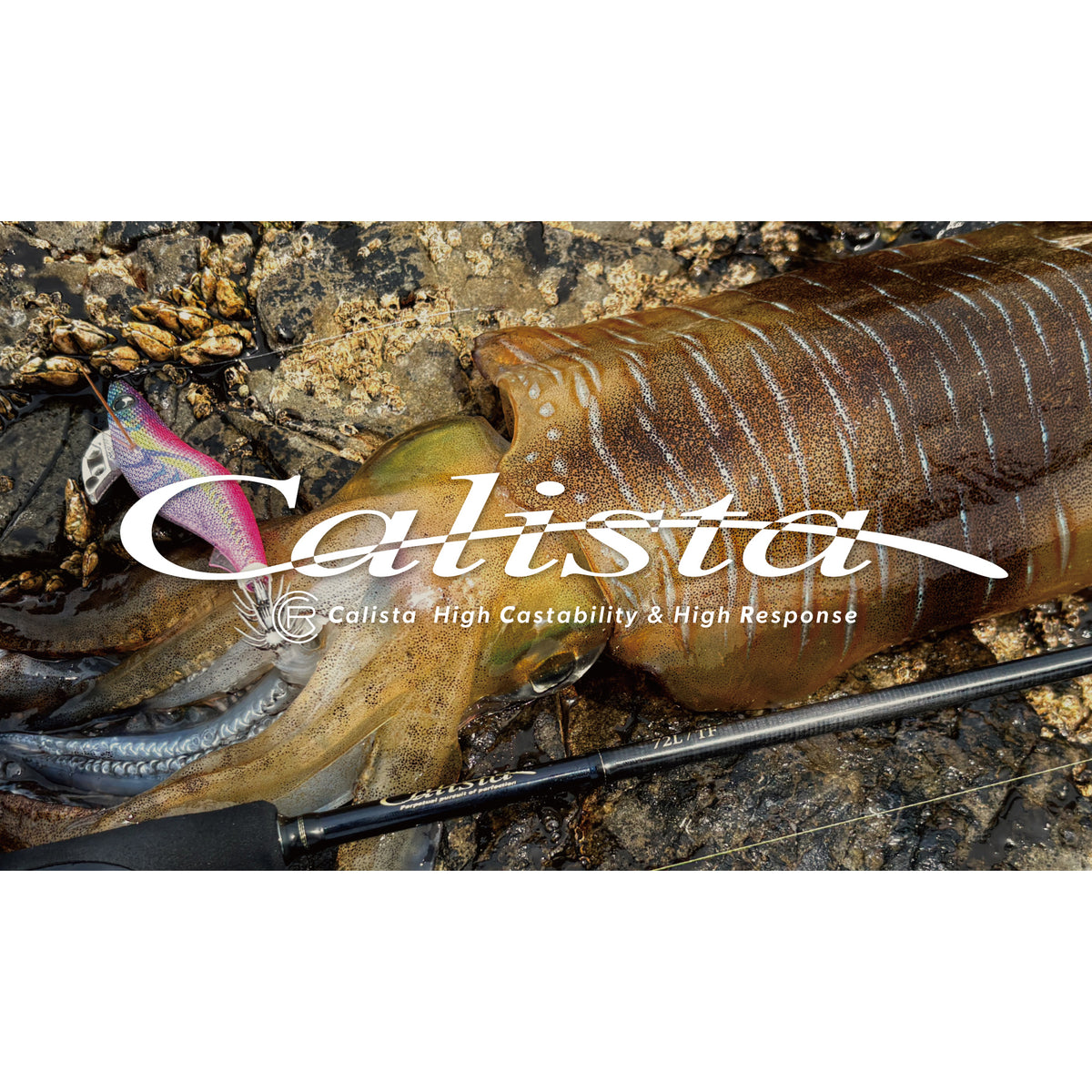 Yamaga Blanks Calista Cover