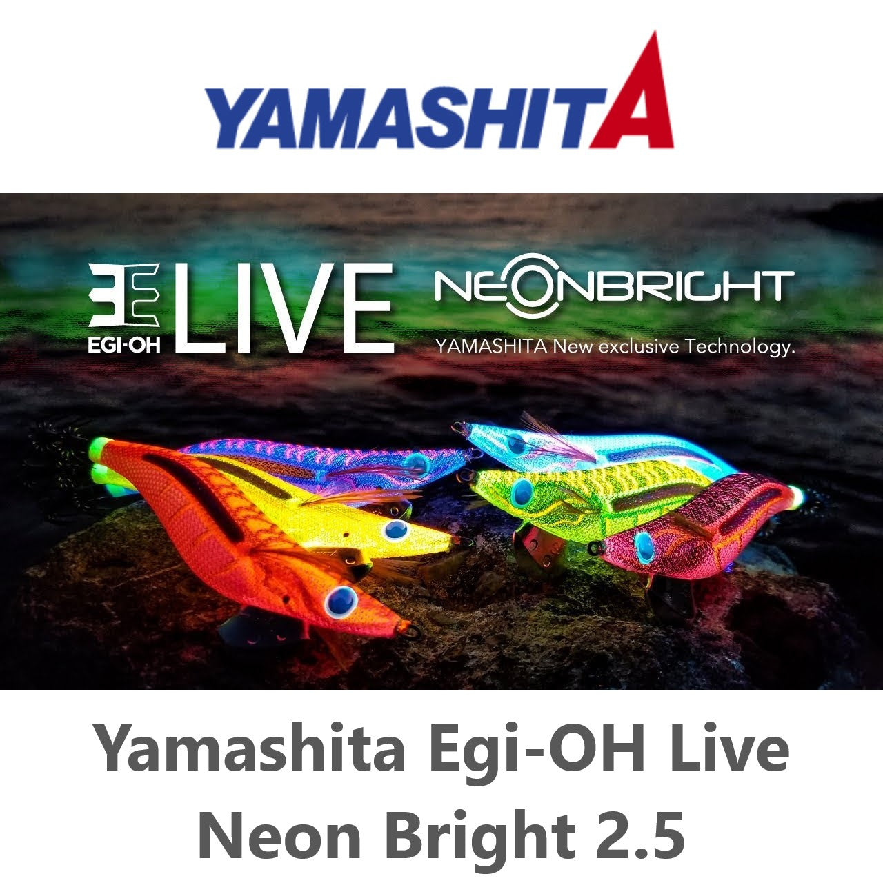Yamashita Egi-OH Live Neon Bright 2.5 Cover