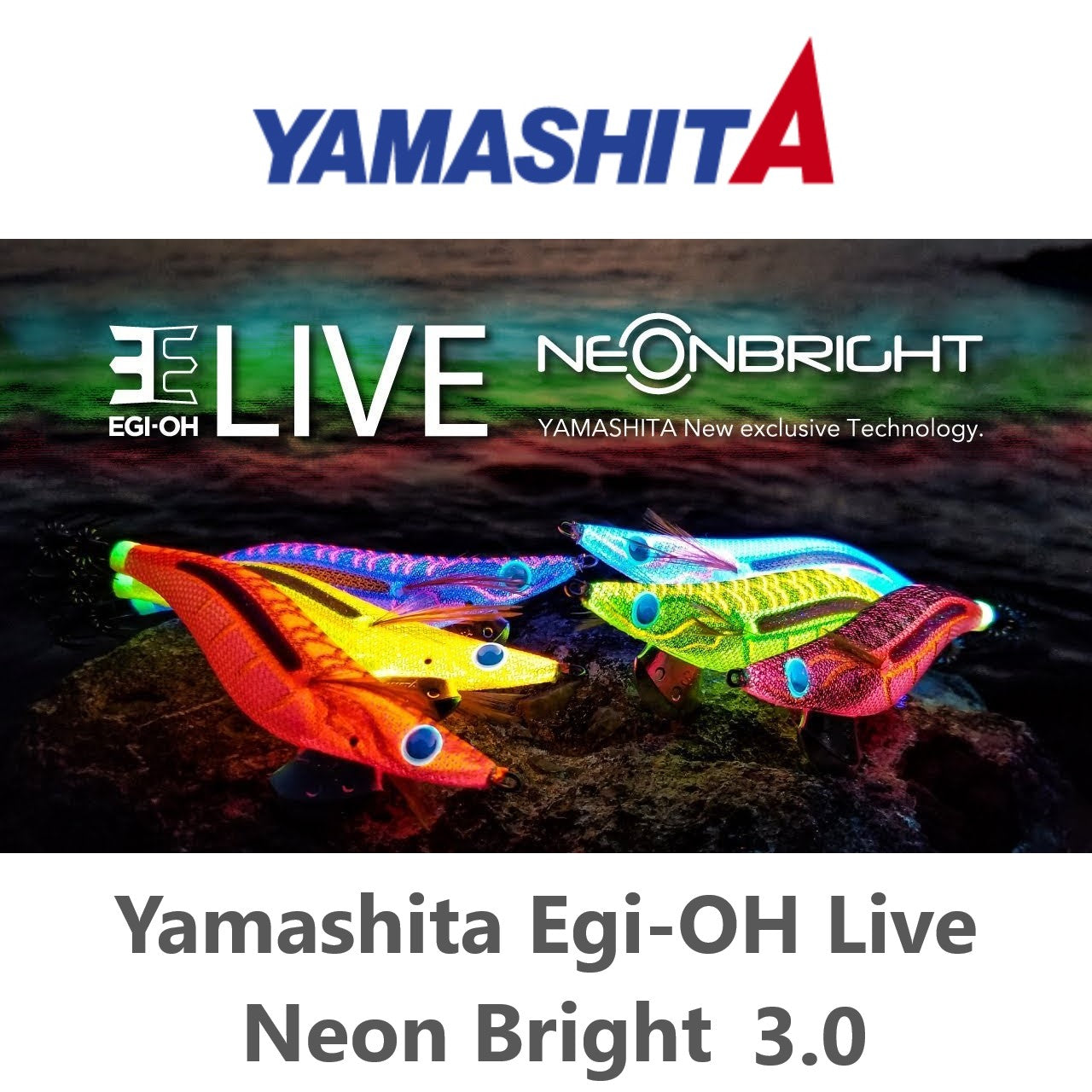 Yamashita Egi-OH Live Neon Bright 3.0 Cover