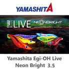 Yamashita Egi-OH Live Neon Bright 3.5 Cover