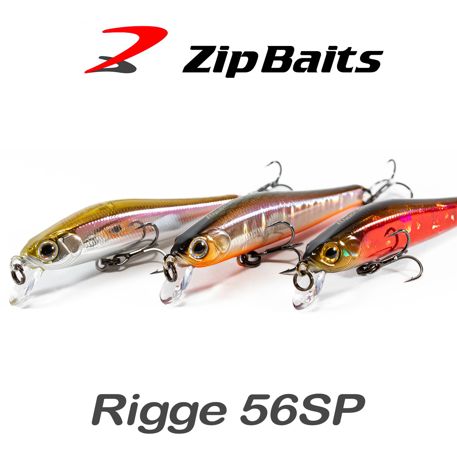 ZipBaits Rigge 56SP *56 mm Minnow Barsch Forelle Rapfen Japanköder ZipBaits Rigge 56SP *56 mm Minnow Barsch Forelle Rapfen Japanköder