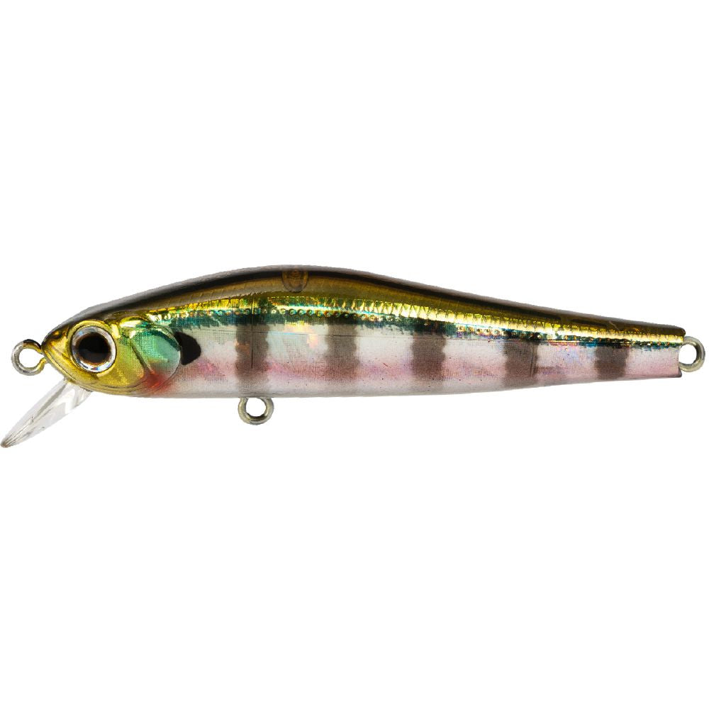 Zipbaits Rigge 56SP 509UV
