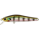 Zipbaits Rigge 56SP 509UV