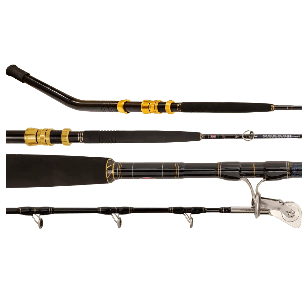 Penn Ocean Assassin Game overhead rod