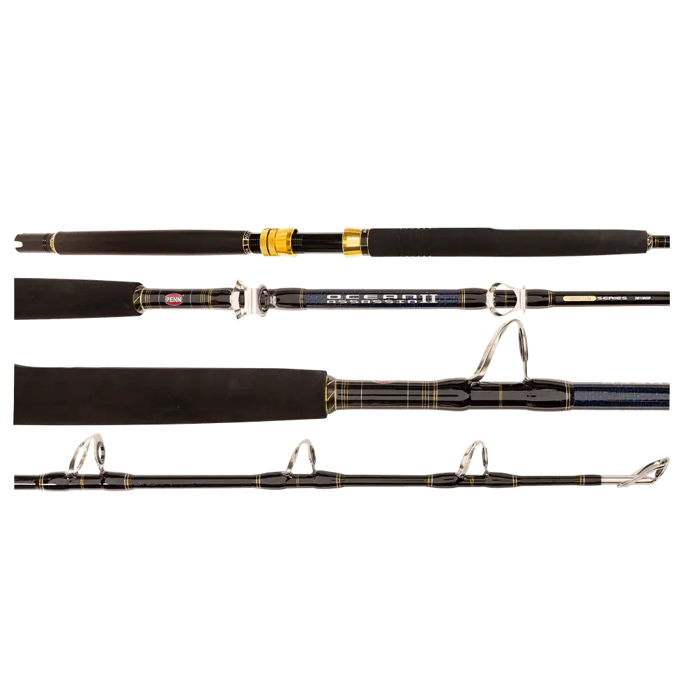 Penn Ocean Assassin Game overhead rod
