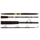 Penn Ocean Assassin Game overhead rod