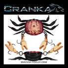 Cranka Crab 65mm 9.5g - Compleat Angler Nedlands